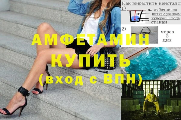 шишки Алзамай