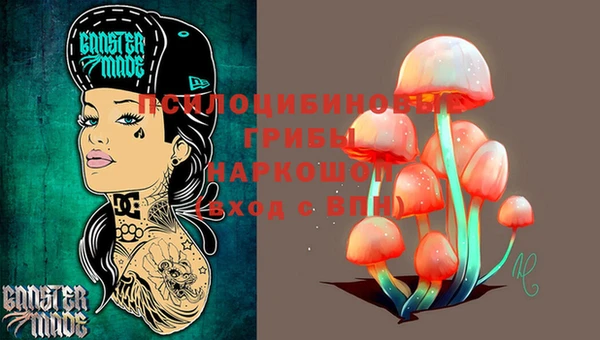 шишки Алзамай