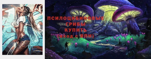 шишки Алзамай